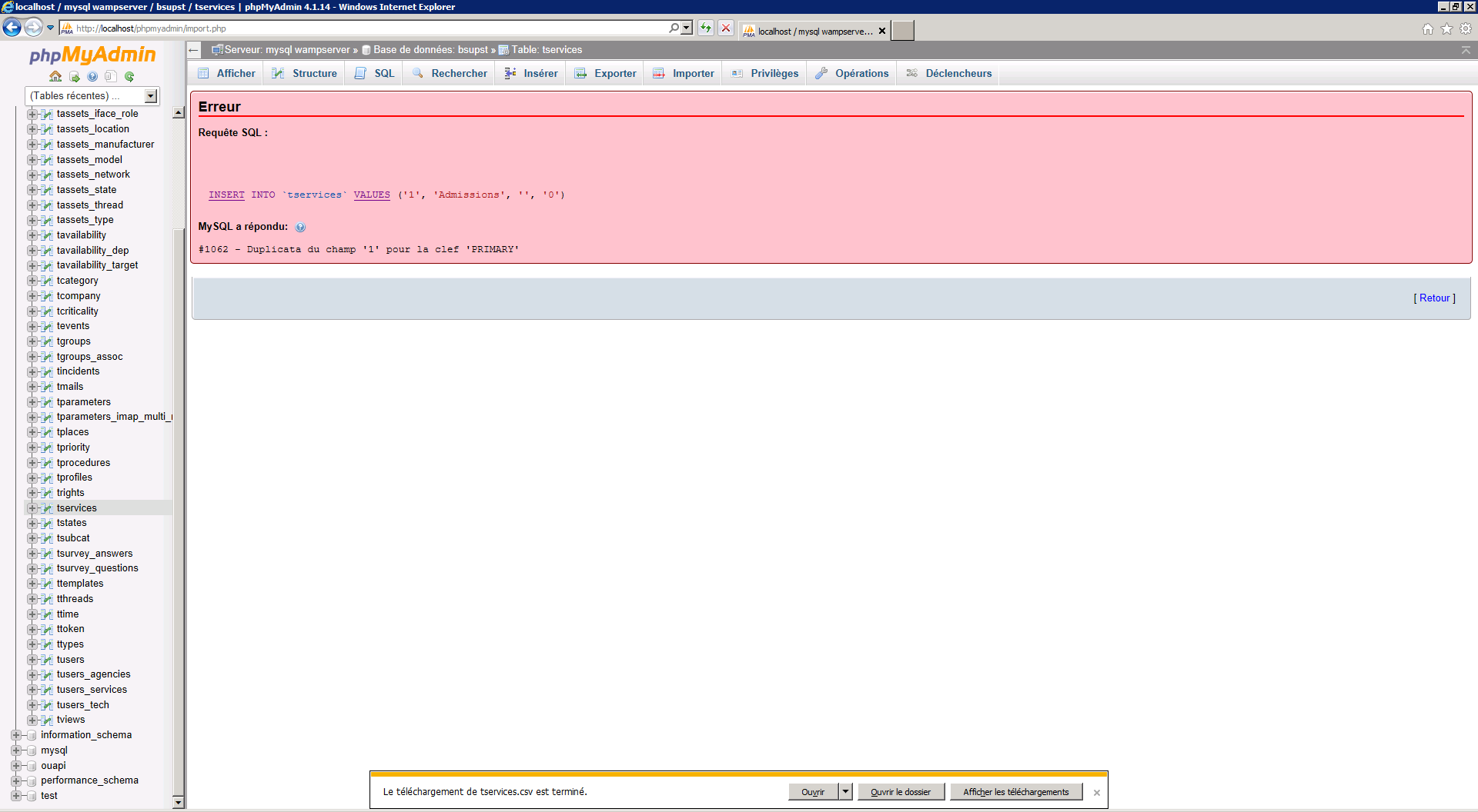 erreur copie tables tservices.png